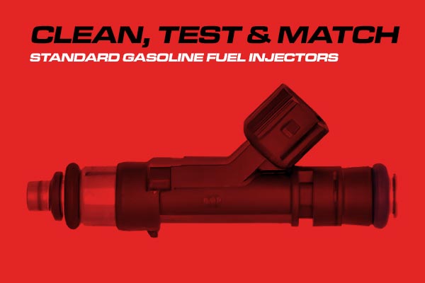 Standard Gasoline Fuel Injectors Cleaning Service 