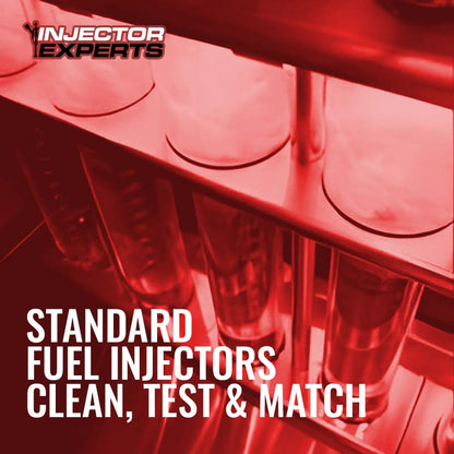Clean, Test, and Match - Standard Gasoline Injectors
